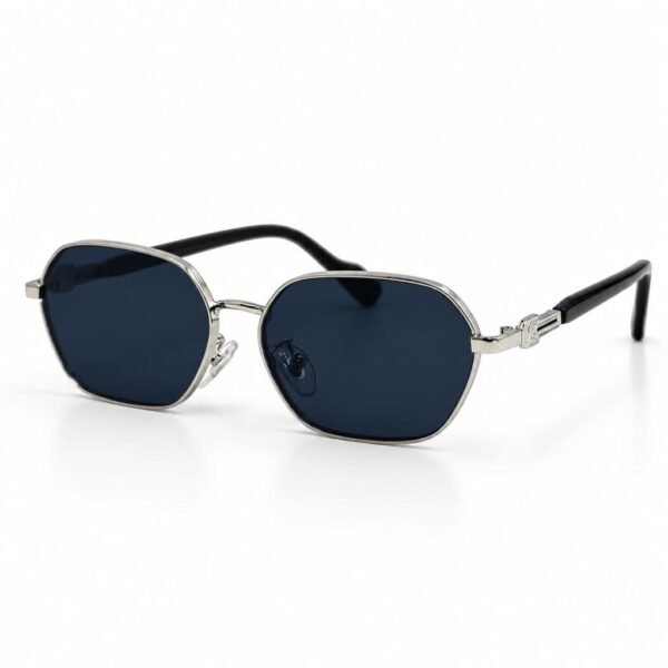 Sunglass EV2K-0006 Vintage Hexagonal Metal Frame UV400 Sunglasses | Eye Valley - 2
