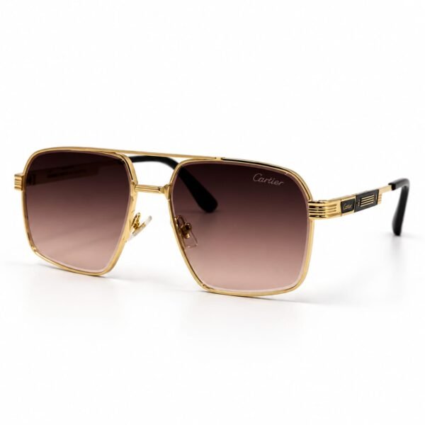 Sunglass EV2K-0015 Premium UV400 Square Aviator Sunglasses – Stylish Metal Frame | EyeValley Bangladesh