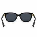 Premium Black Oversized Sunglasses with Gold Details | EyeValley EyeValley - 2 - Image 4