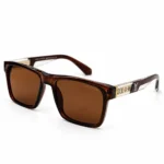 Sunglass Z2191E56 Stylish Square Wayfarer Sunglasses in Crystal Brown with Brown Lenses and Gold Temple Plates