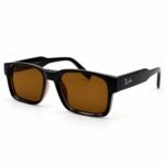 Eye Valley EV-SG-1004 Classic Rectangle Sunglass — Glossy Acetate Style Wholesale Eyewear Bangladesh - Image 2